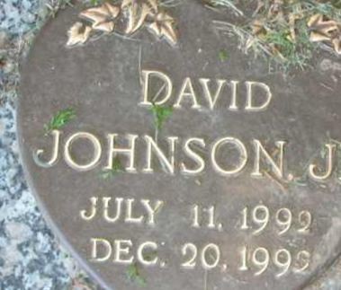 David Johnson, Jr on Sysoon