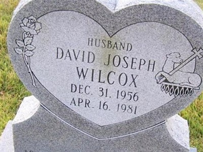 David Joseph Wilcox on Sysoon