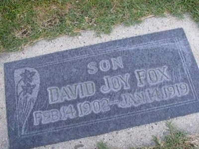 David Joy Fox on Sysoon