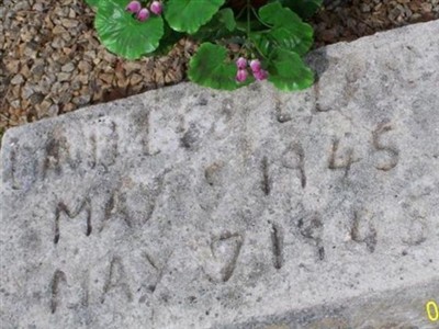 David L Copeland on Sysoon