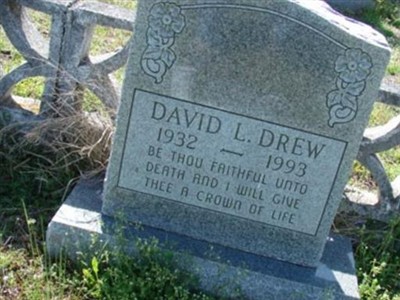 David L. Drew on Sysoon