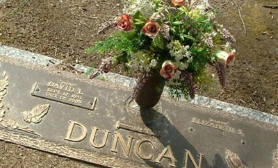 David L. Duncan on Sysoon