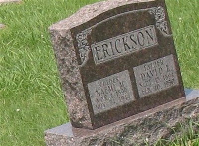 David L Erickson on Sysoon