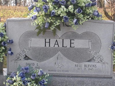 David L Hale on Sysoon