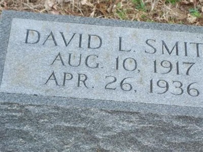 David L Smith on Sysoon