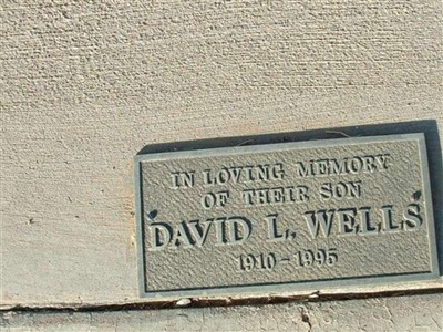 David L Wells on Sysoon