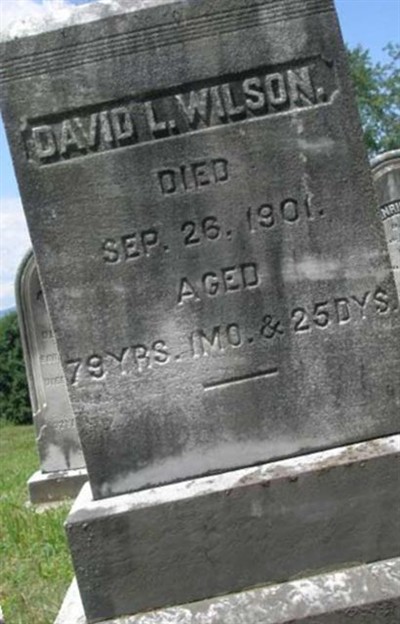 David L. Wilson on Sysoon