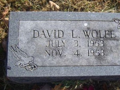 David L. Wolfe on Sysoon