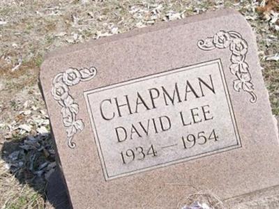David Lee Chapman on Sysoon