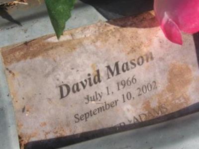 David Lee Mason on Sysoon