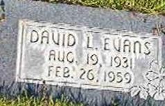David Leroy Evans on Sysoon