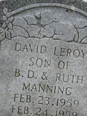David Leroy Manning on Sysoon