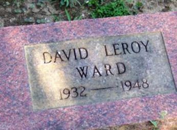 David Leroy Ward on Sysoon