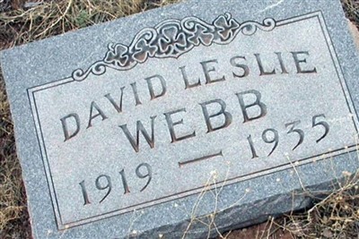David Leslie Webb on Sysoon