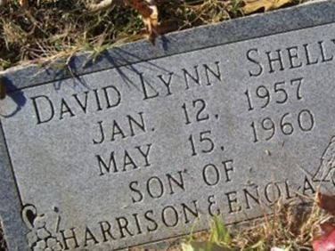 David Lynn Shelly on Sysoon