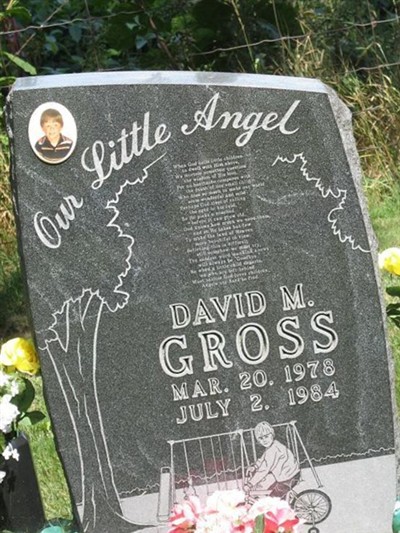 David M. Gross on Sysoon