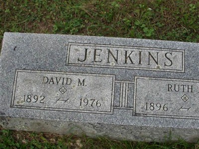 David M. Jenkins on Sysoon
