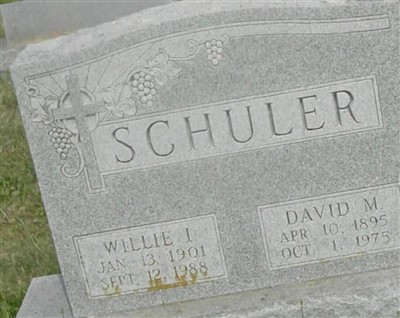 David M. Schuler on Sysoon