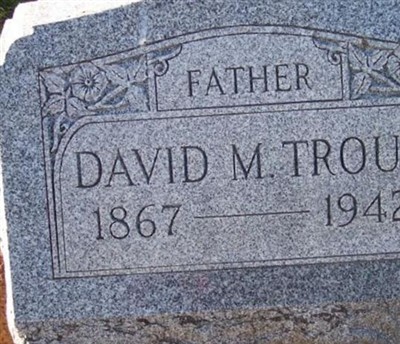 David M Trout on Sysoon