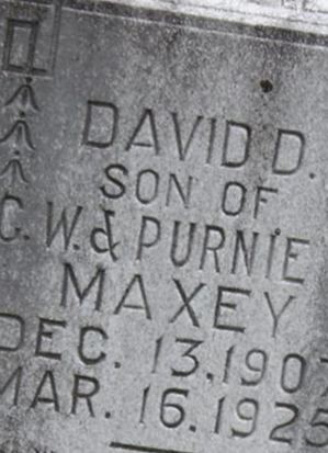 David Maxey on Sysoon
