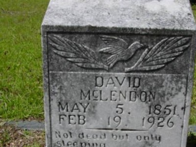 David McLendon on Sysoon