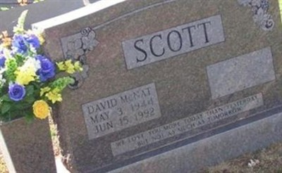David McNat Scott on Sysoon