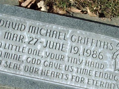 David Michael Griffiths on Sysoon