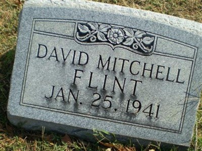 David Mitchell Flint on Sysoon