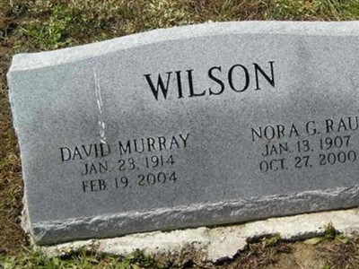 David Murray Wilson on Sysoon