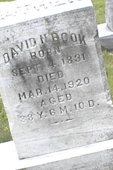 David N. Book on Sysoon