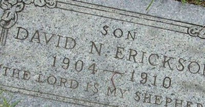 David N Erickson on Sysoon