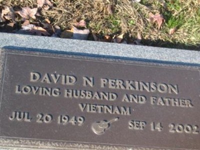 David N Perkinson on Sysoon