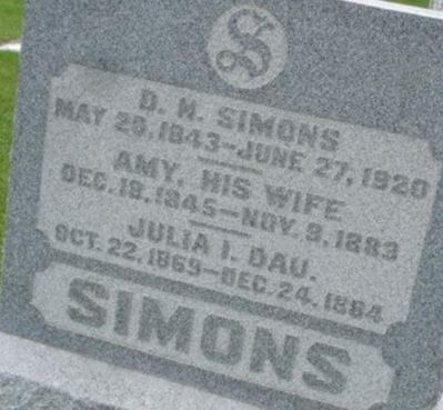 David N Simons on Sysoon