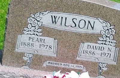 David N. Wilson on Sysoon