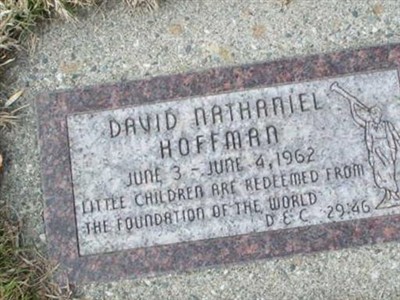 David Nathaniel Hoffman on Sysoon