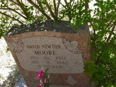David Newton Moore on Sysoon