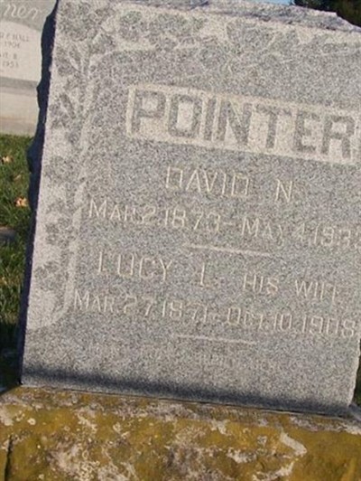 David Newton Pointer on Sysoon
