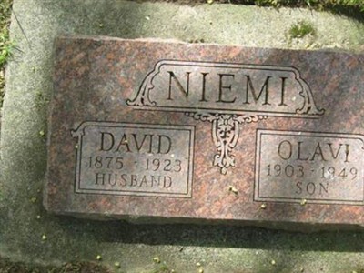 David Niemi on Sysoon