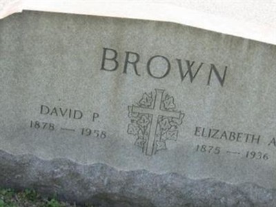 David P Brown on Sysoon