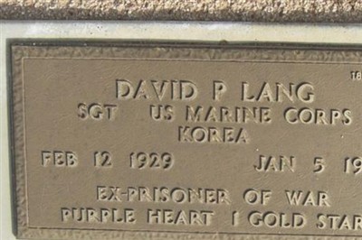 David P Lang on Sysoon