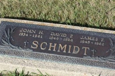 David P. Schmidt on Sysoon