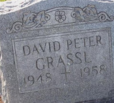 David Peter Grassl on Sysoon