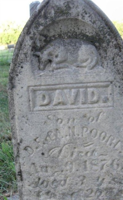 David Poore on Sysoon