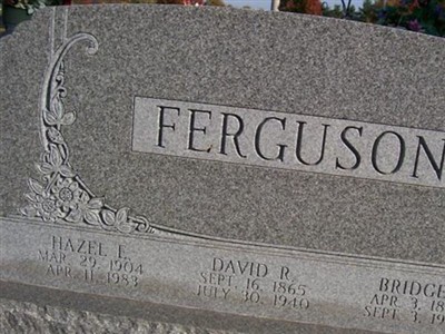 David R Ferguson on Sysoon