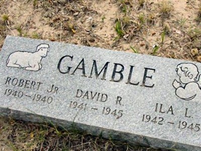 David R Gamble on Sysoon