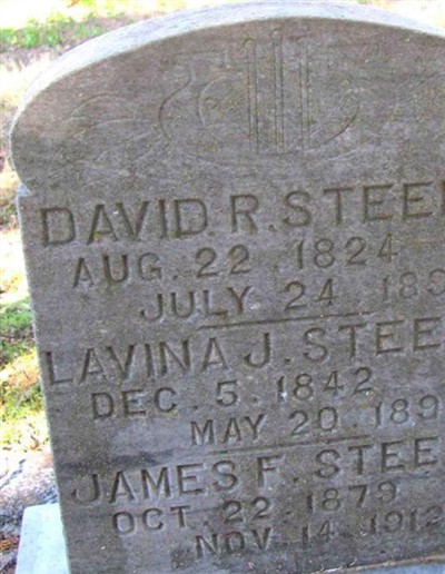David R. Steele on Sysoon