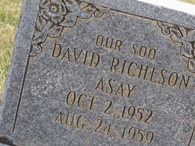 David Richeson Asay on Sysoon
