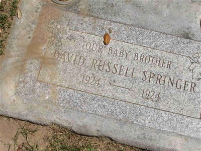 David Russell Springer on Sysoon