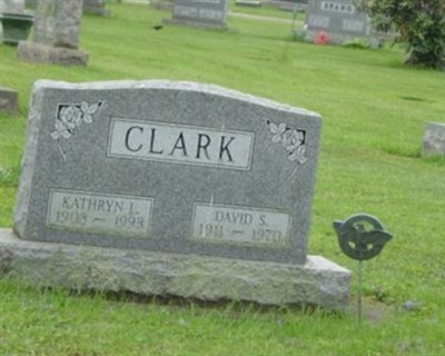 David S Clark on Sysoon