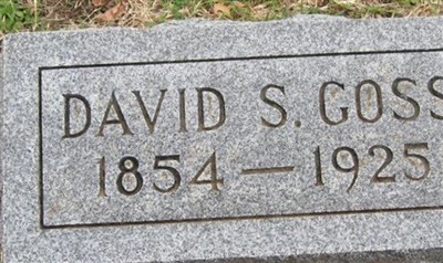 David S Goss on Sysoon